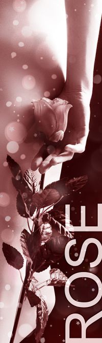 Status Rose - Honorarübersicht Escort Duisburg Status Rose - Honorarübersicht Escort Duisburg